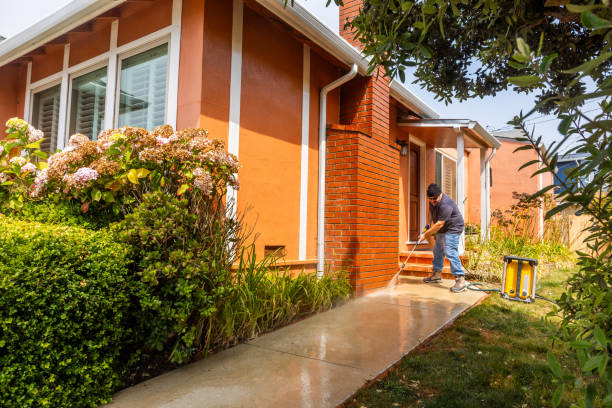 Best Affordable Power Washing  in Whiteland, IN